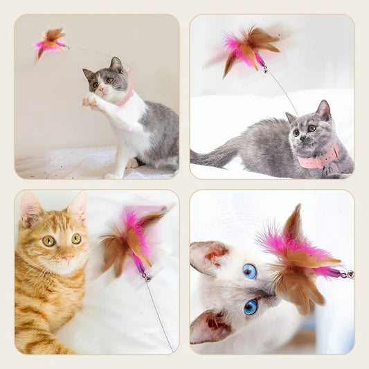 Adjustable Cat Collar with Attached Feather Toy - Fun and Playful Accessory for Cats